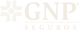 GNP